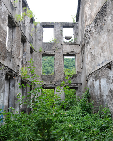 Grands visiteurs